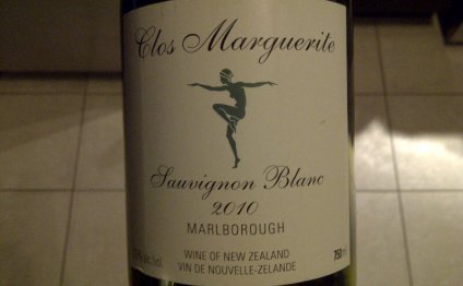 Grape Vines Marlborough Nz