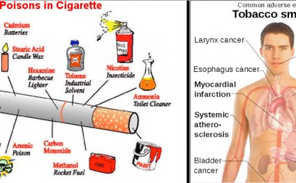 Cancer by Smoking