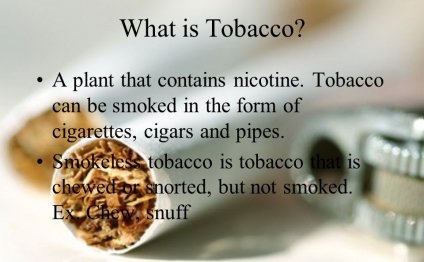 What is Tobacco? A plant that