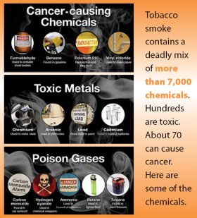 Infographic on the Cancer-Causing Chemicals in Tobacco Smoke. Click the image of a larger version. Learn more at title=