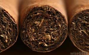 How tobacco is used?