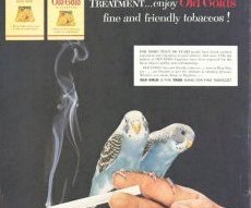This 1954 advertisement for Old Gold cigarettes exploited the post-World War II popularity of parakeets