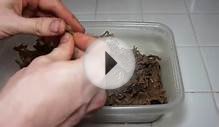 How To Make Homemade Shisha Tobacco - Hookah.org