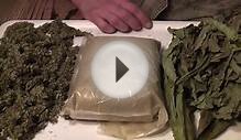 Kratom, Cannabis and Tobacco My Plant Allies